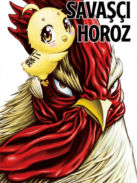 Rooster Fighter için kapak görseli