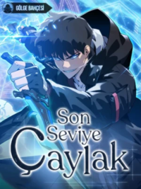 Son Seviye Çaylak için kapak görseli