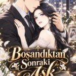 Boşandıktan Sonraki Aşk için kapak görseli