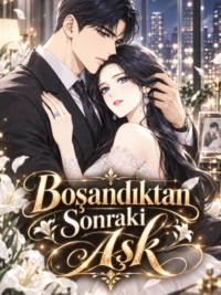 Boşandıktan Sonraki Aşk için kapak görseli