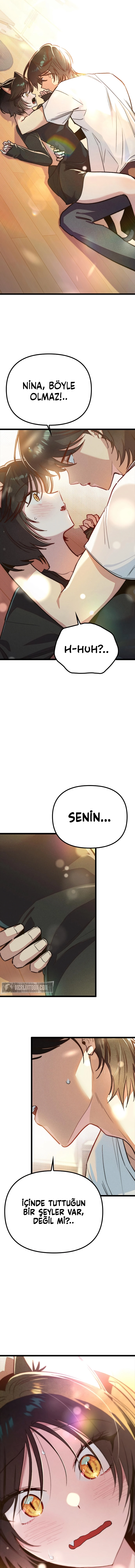 Zodyak: Son Yarış […]