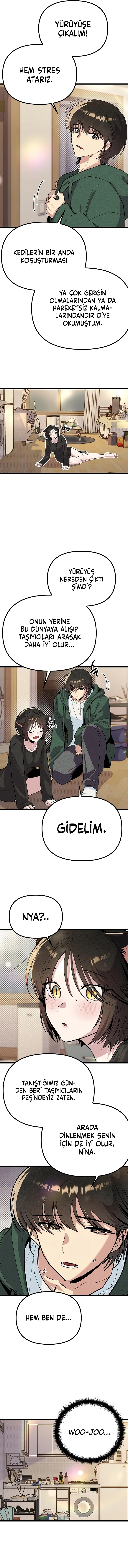 Zodyak: Son Yarış […]