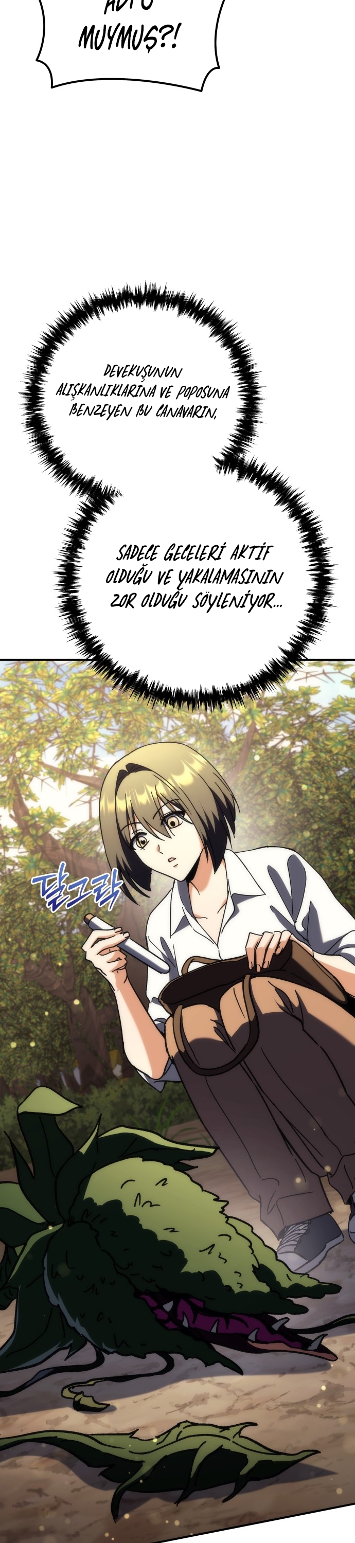 Bölüm 12