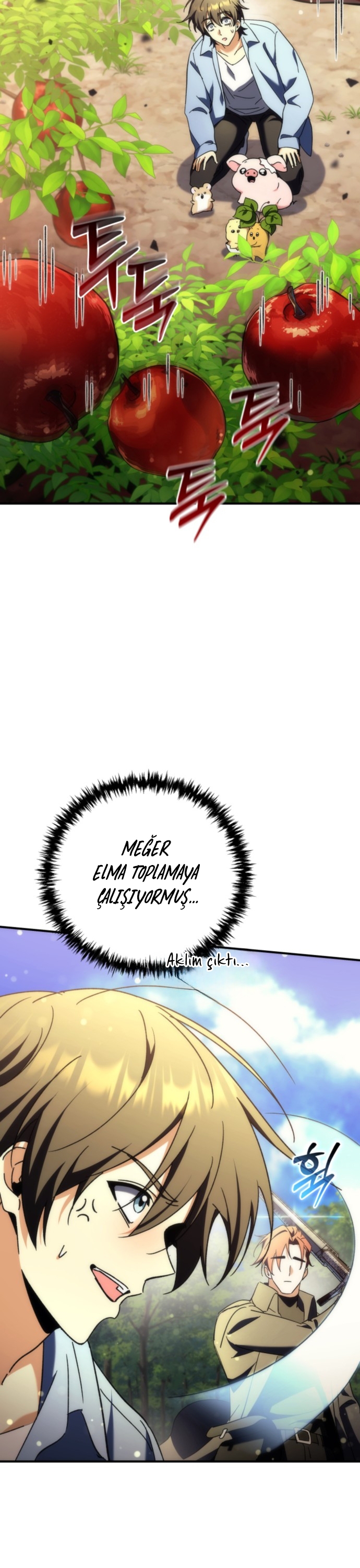Bölüm 12