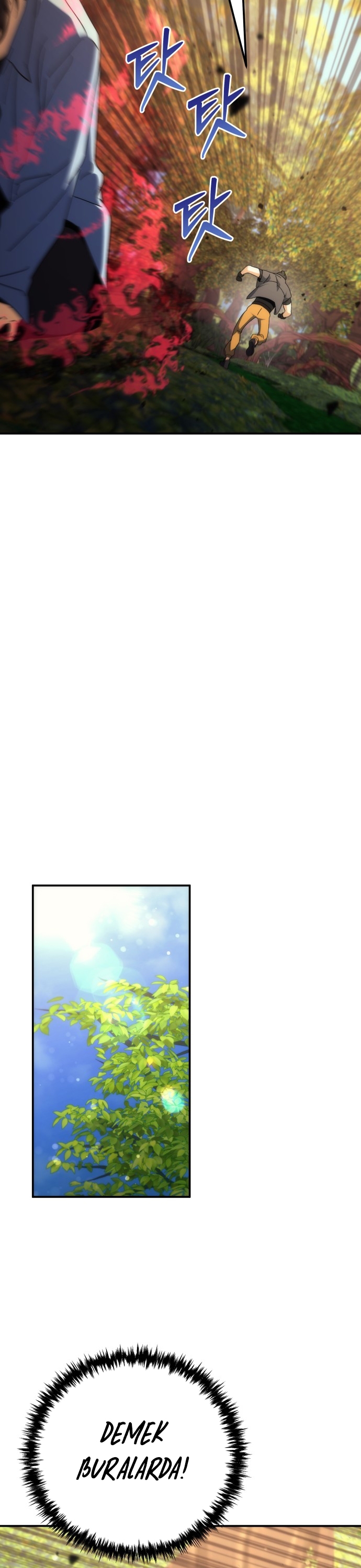 Bölüm 15
