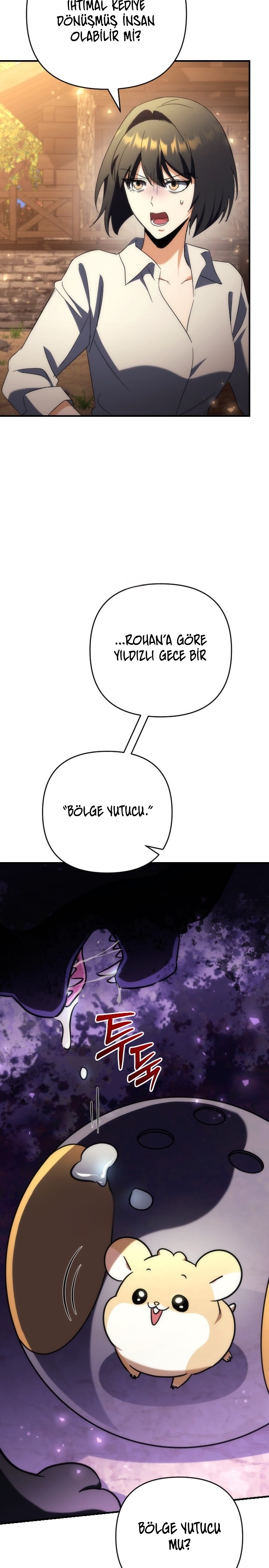 Bölüm 17