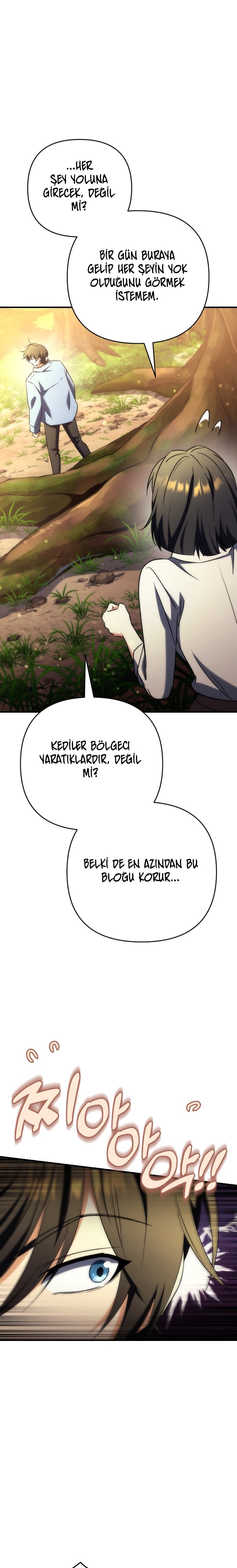 Bölüm 17