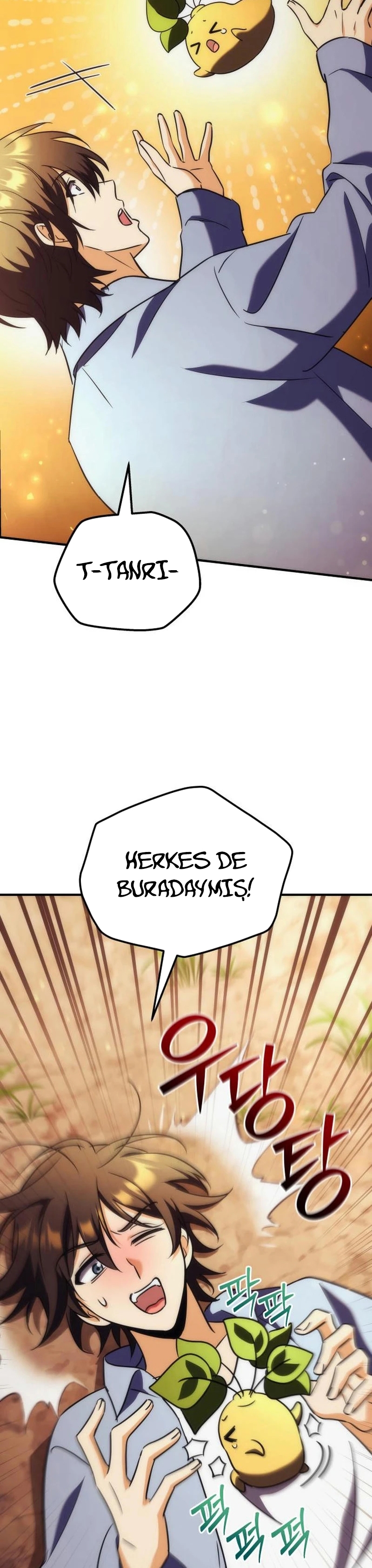 Bölüm 24