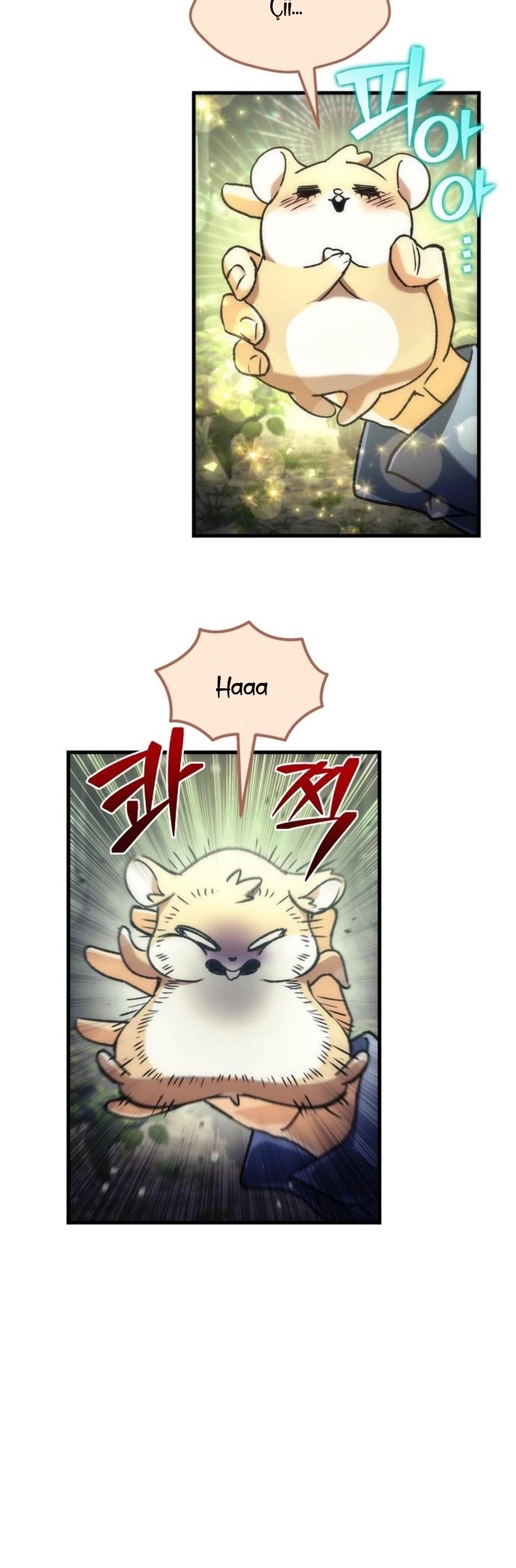 Bölüm 3