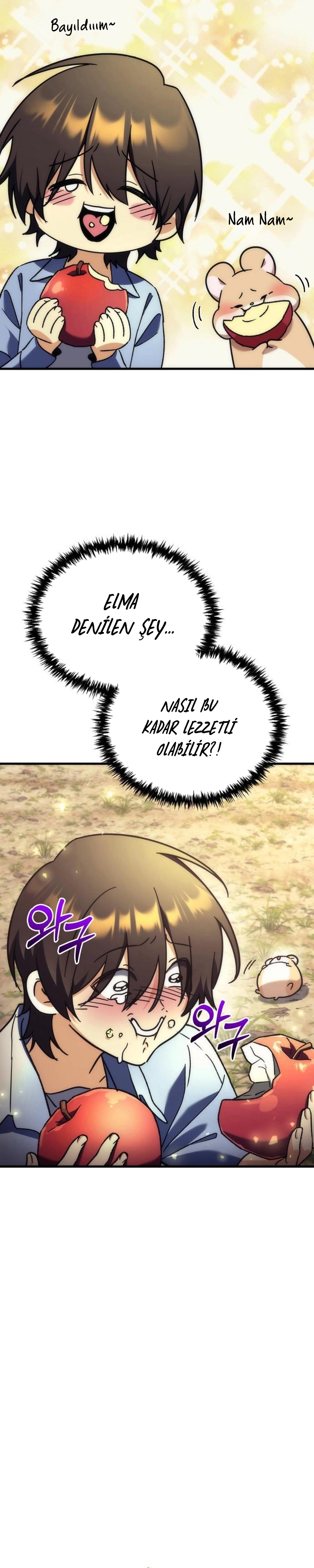 Bölüm 4