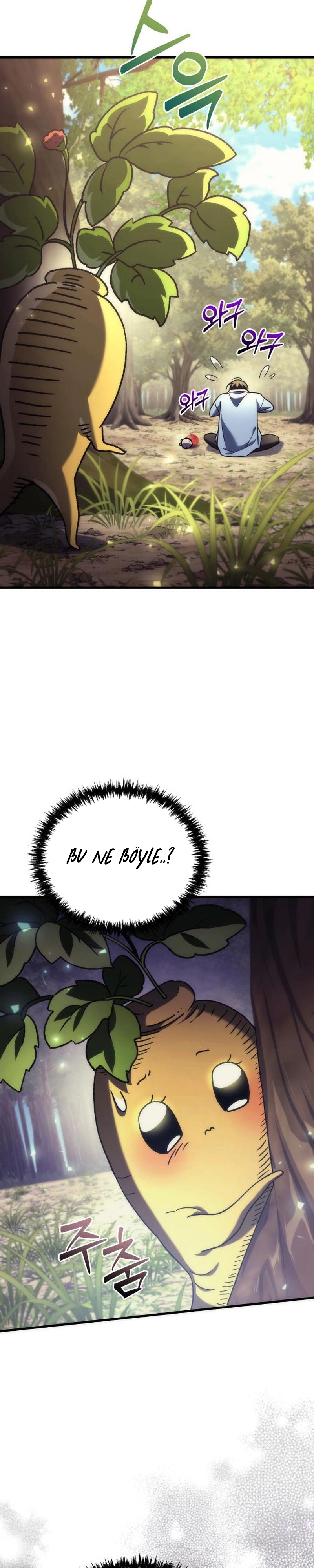 Bölüm 4