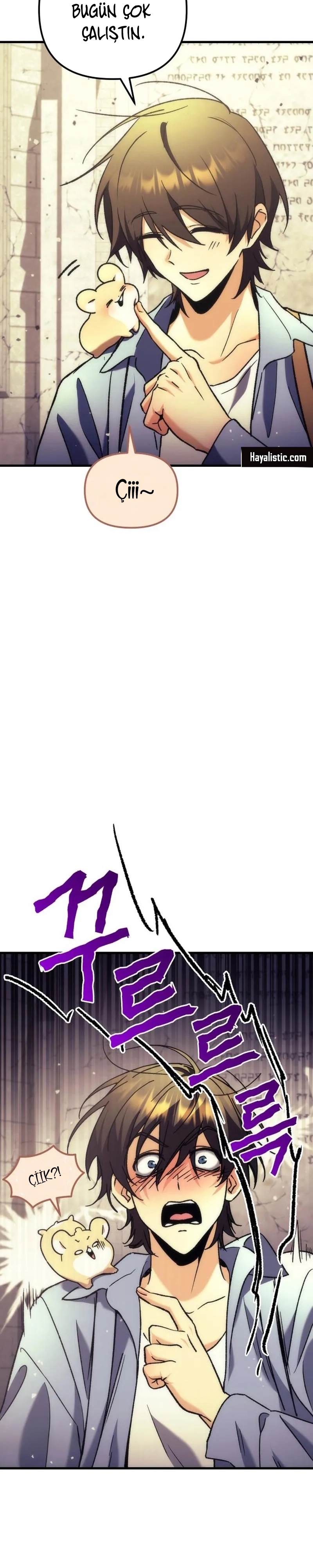 Bölüm 5