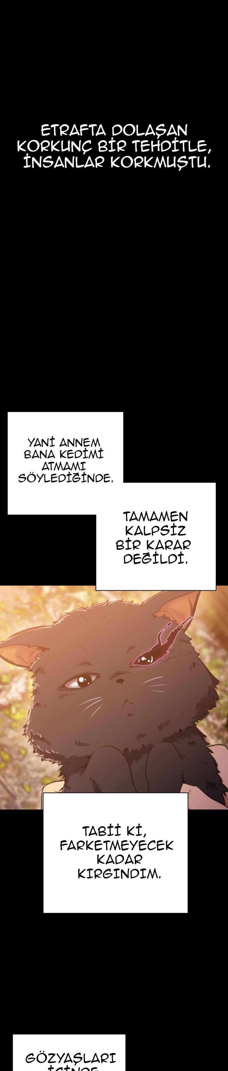Bölüm 15