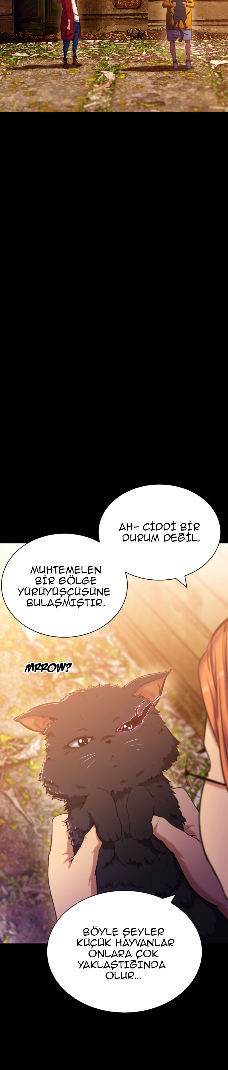 Bölüm 15