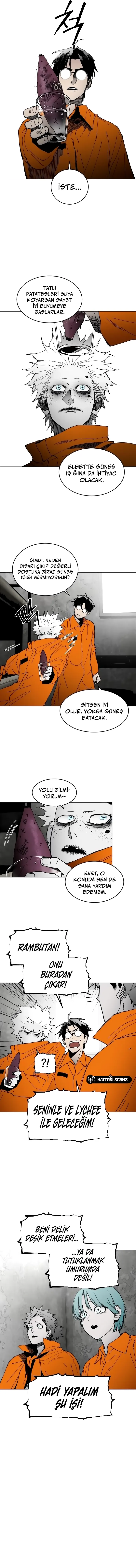 Bölüm 6