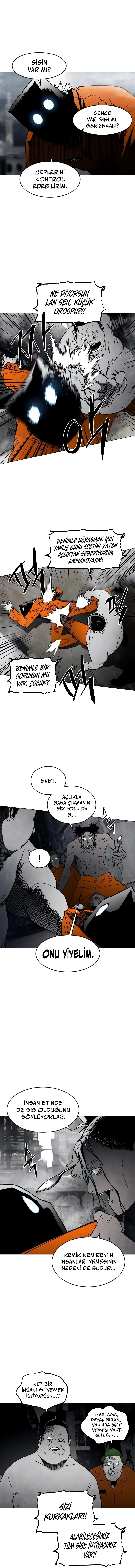 Bölüm 7