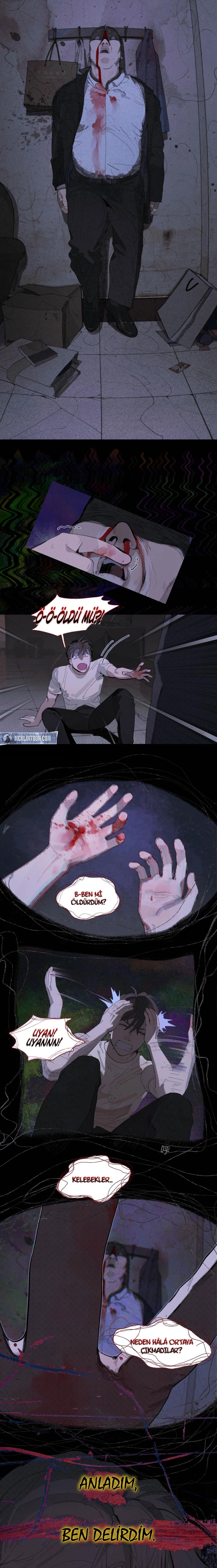 Bölüm 3