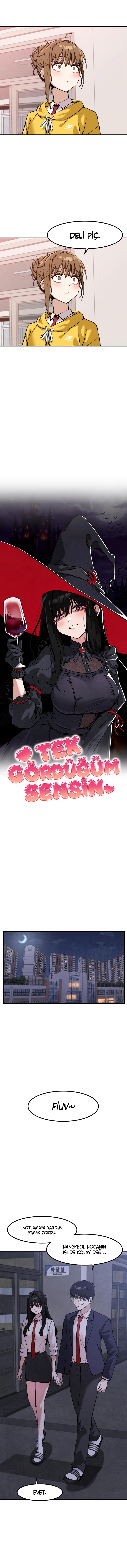 Bölüm 13