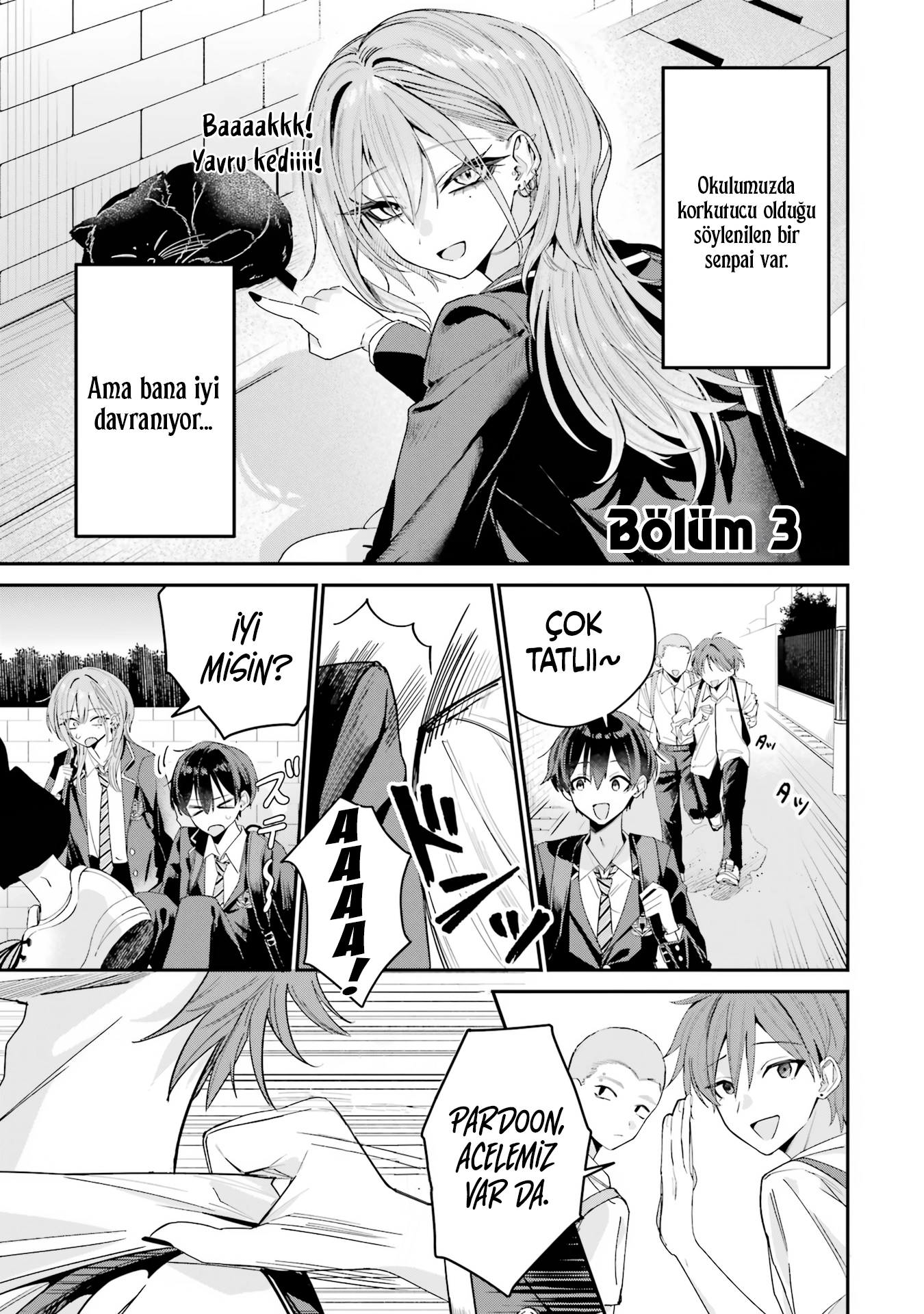 Bölüm 3