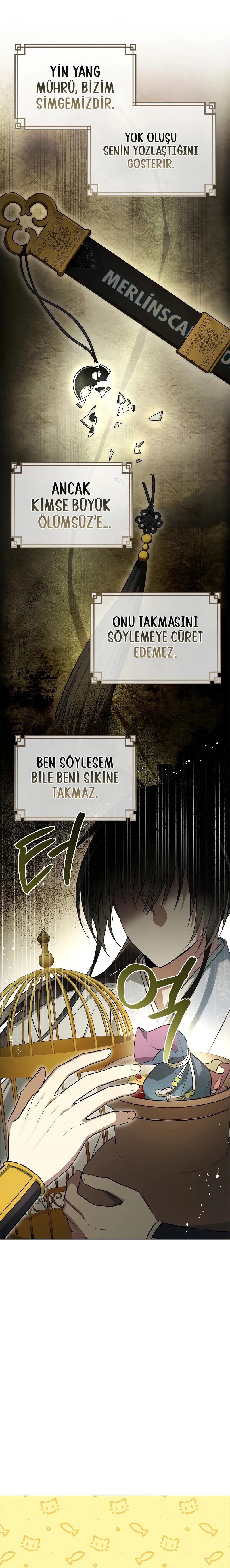 Bölüm 11