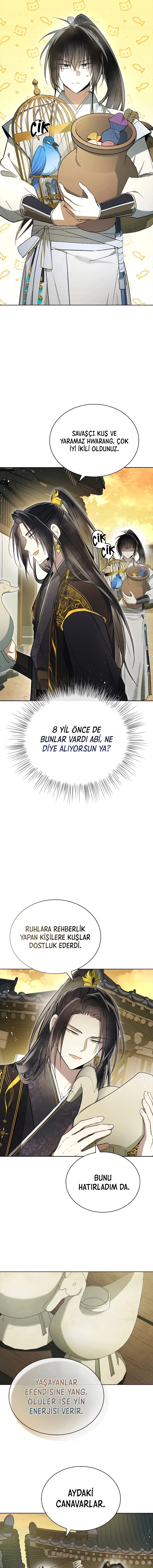 Bölüm 11
