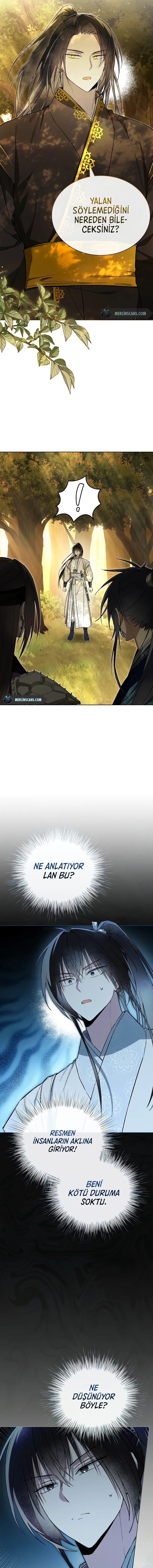 Bölüm 8