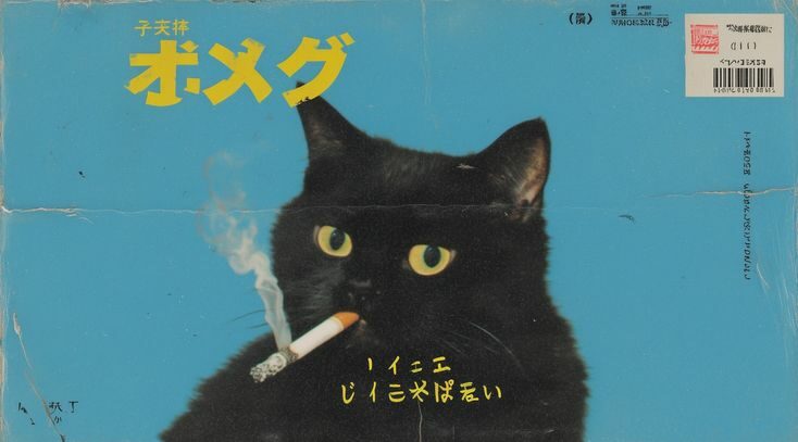 Reina cover